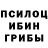 Псилоцибиновые грибы GOLDEN TEACHER Amil Safarov
